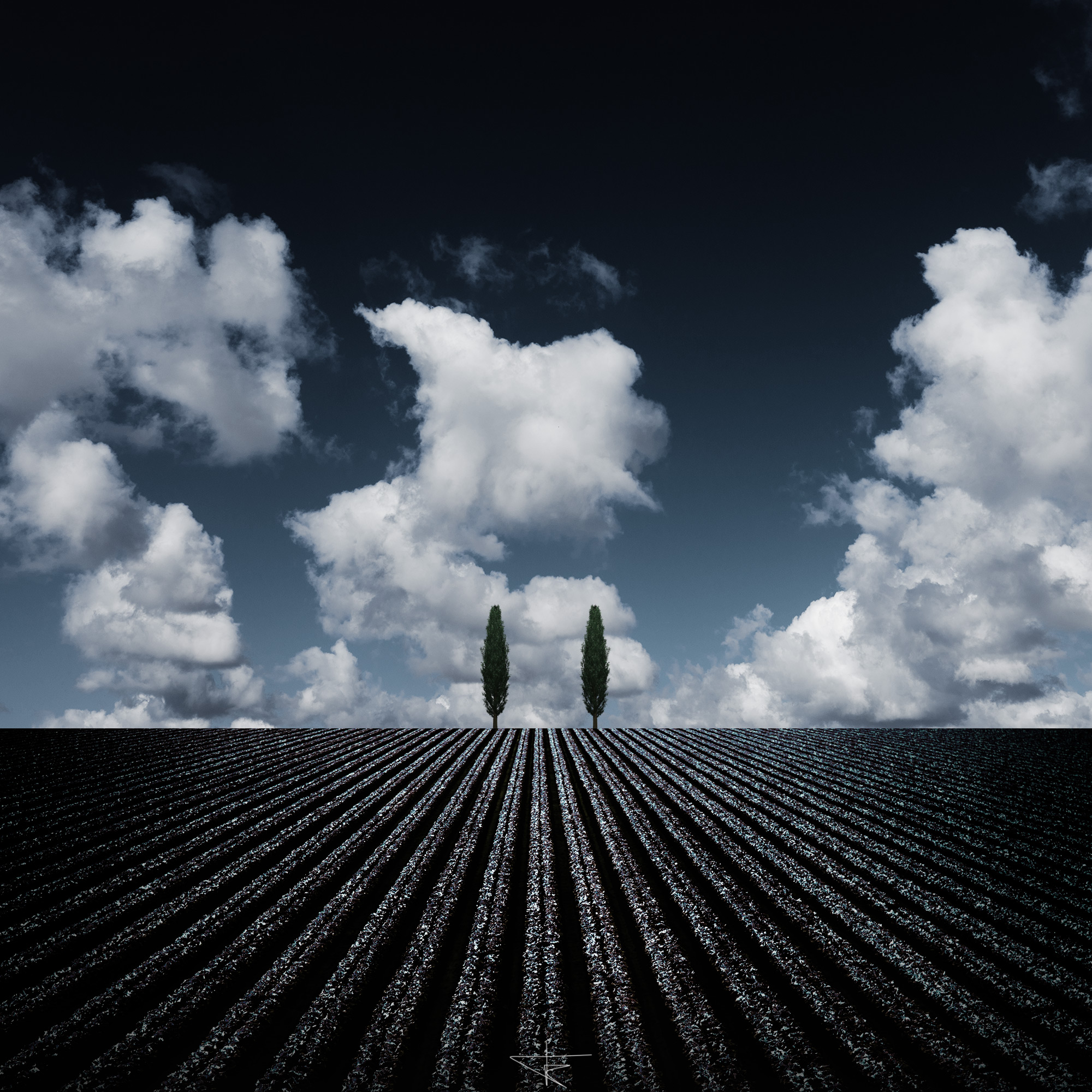 digital art composing, cypress hill with cloudy sky